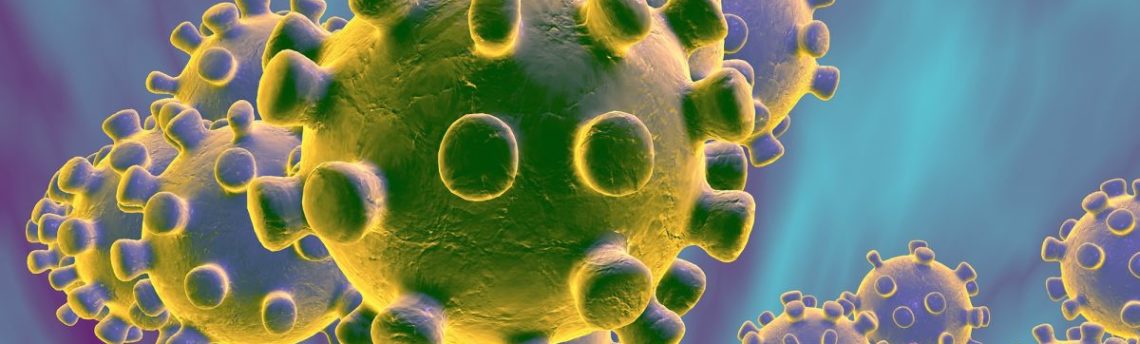 Coronavirus: Annulation de l’examen 2* et des sorties jusque nouvel ordre
