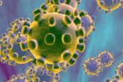 Coronavirus: Annulation de l'examen 2* et des sorties jusque nouvel ordre